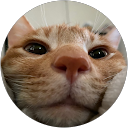 、アスカ profile picture